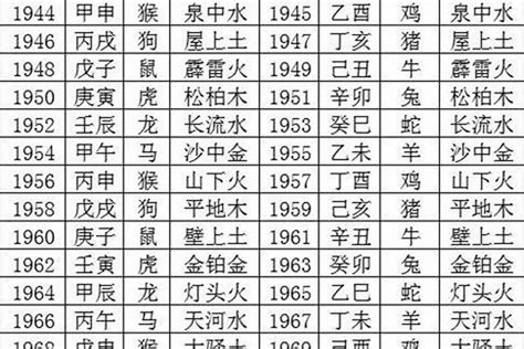 24年是什么年|2024年